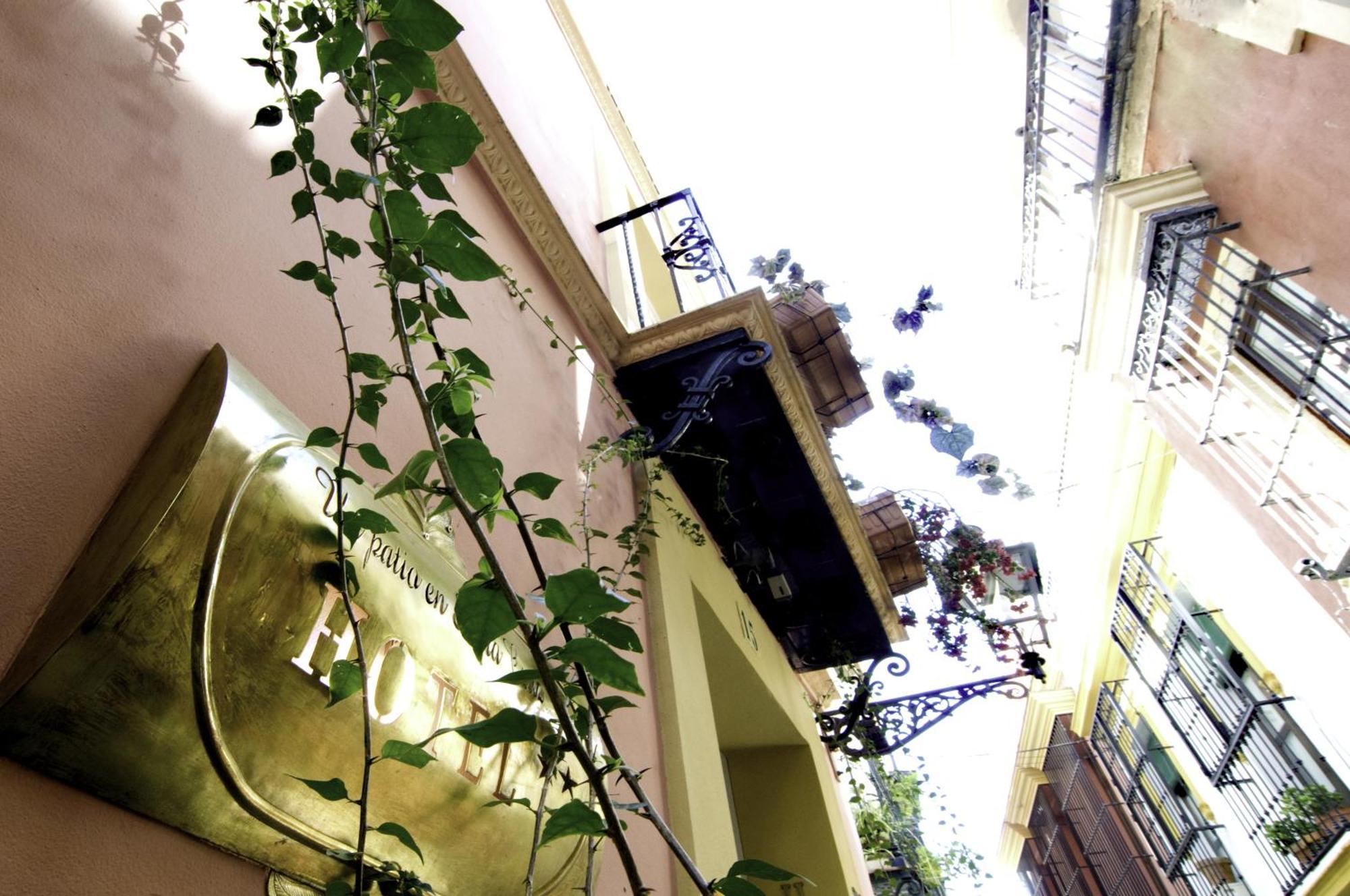 Un Patio En Santa Cruz, Seville